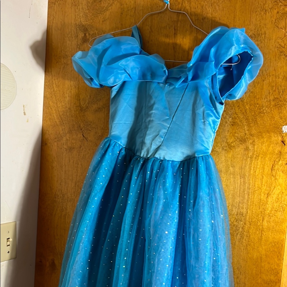Blue Kids Princess Costume (cinderella)